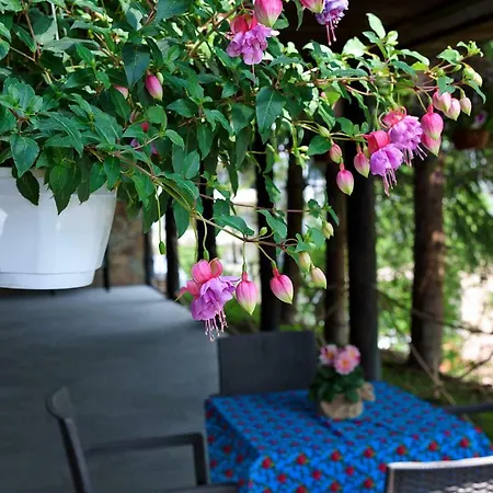 בקתה Polna 15c Czukotka *